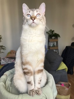 1AE7C8A5-BAB3-4675-9DA7-05563D1B15A4