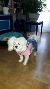 1DE05DE9-03D0-4D5B-A03D-B8E9496A2358