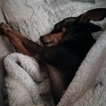 1E434F0B-1F23-4B61-A6EB-5576E9EB4511