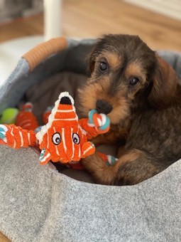 22579206-9A04-4895-89CE-11127A61CF5A