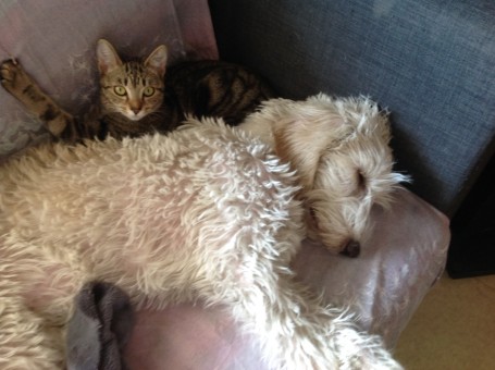 2365A444-0858-4ACD-B387-2110772E5FE5