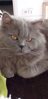 25E020B4-97F4-4B1C-9760-F58E2F788E68