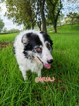 36EE3C31-C1CD-4D99-8CF9-48FEBA2442C7