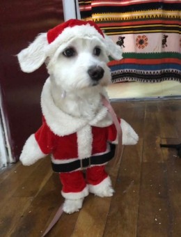 40B7FDE1-3F66-4DFC-8045-739DBCDC49B1