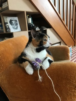 417BEECE-AE45-4FFF-98AC-ABD9B2FC9514