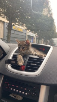 4CC192F4-FA2B-453C-8758-A70A13FF3E70