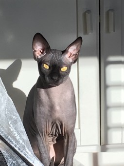 550D741F-D055-4786-B37D-82F86F8DE75E