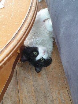 595A6637-4BF9-4563-9194-8131A447AA36