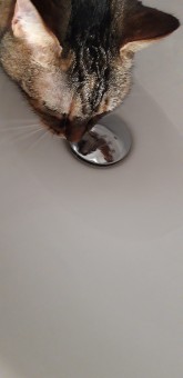 63345BE4-40CA-4B7B-B2BD-426B14D3EFDA