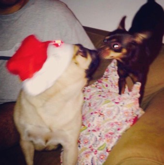 68F57BCA-75A0-4243-9253-6B22E32A1A61