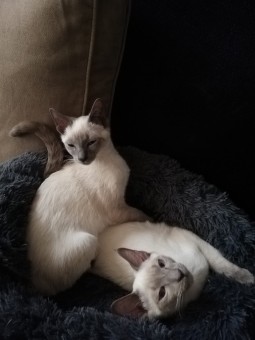 6EF009D0-7972-42BB-B3B7-7DC52FB9BACA