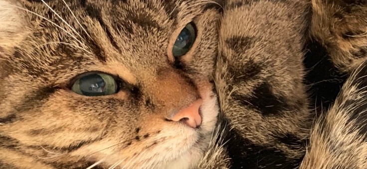 7C6B869D-9939-4E0F-A046-A8AEB8F4B8B6