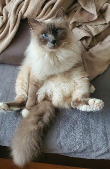 809166BB-4534-4540-89F5-C760EA91C47A