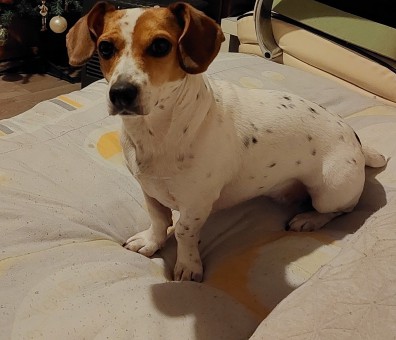 81FD2DD1-D2D1-4114-AA29-CBD2033E76B1