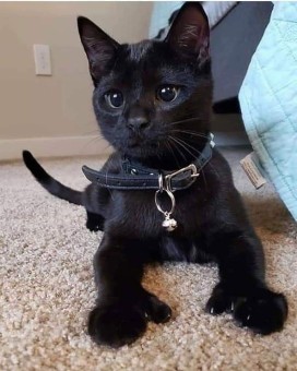 983F875B-2CDB-4A2D-930F-F7FE7DB217FB