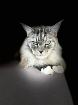 9BB24DE8-5641-4909-9E07-6AD650DE75CA