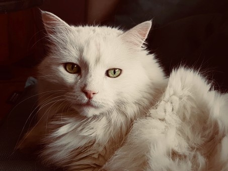 9DF77B97-CB46-4A0E-A9A1-22DAC1659E0C