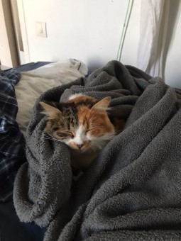 A02DD192-319E-4520-9485-9E26D79E451F