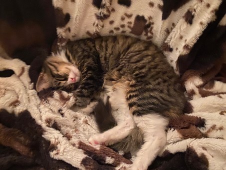 AC9D634A-C50E-400C-B07E-8763239CB6CA