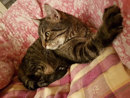 B5F503CD-D2C0-4AC3-A341-F9BD862920F5