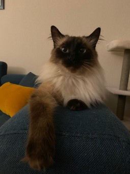 C53F9C86-4E93-4E7E-B059-1597A6F1D55D