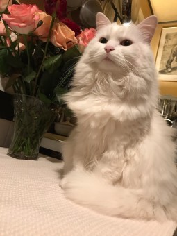 C9D49DE0-E3D6-4925-8988-0F00FDFD749E