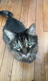 EB6413DA-6273-47AC-88E9-1D9EE0E90098