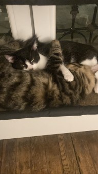 F00FDA46-0A0C-4EDA-A264-3FC6D84CF122