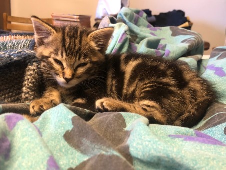 F676676B-13CE-41C6-BA2F-702DF6023EEF