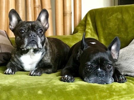 FB9BADA6-190C-4D14-B09C-916F21E9EF73