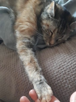 IMG-20240920-WA0009(1)