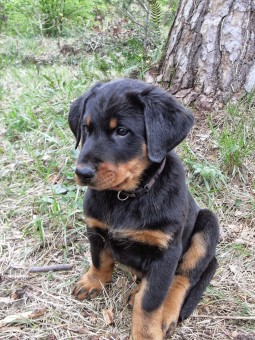 VLUU L100, M100  / Samsung L100, M100