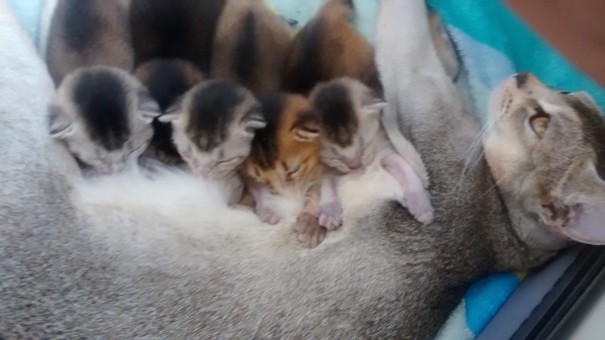 IMG_20150509_122513676