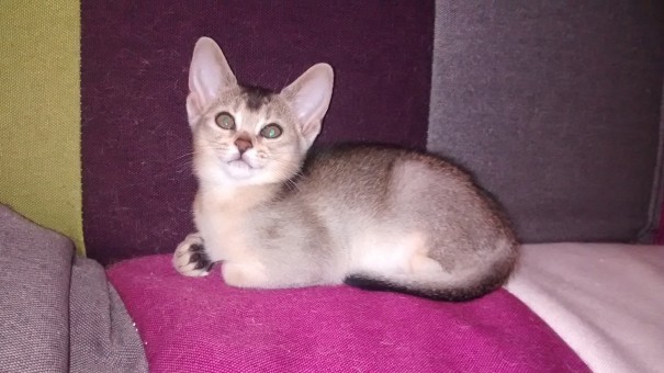 IMG_20150628_124408084