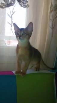 IMG_20150628_124436646