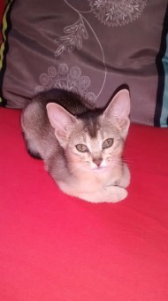 IMG_20150628_183420407