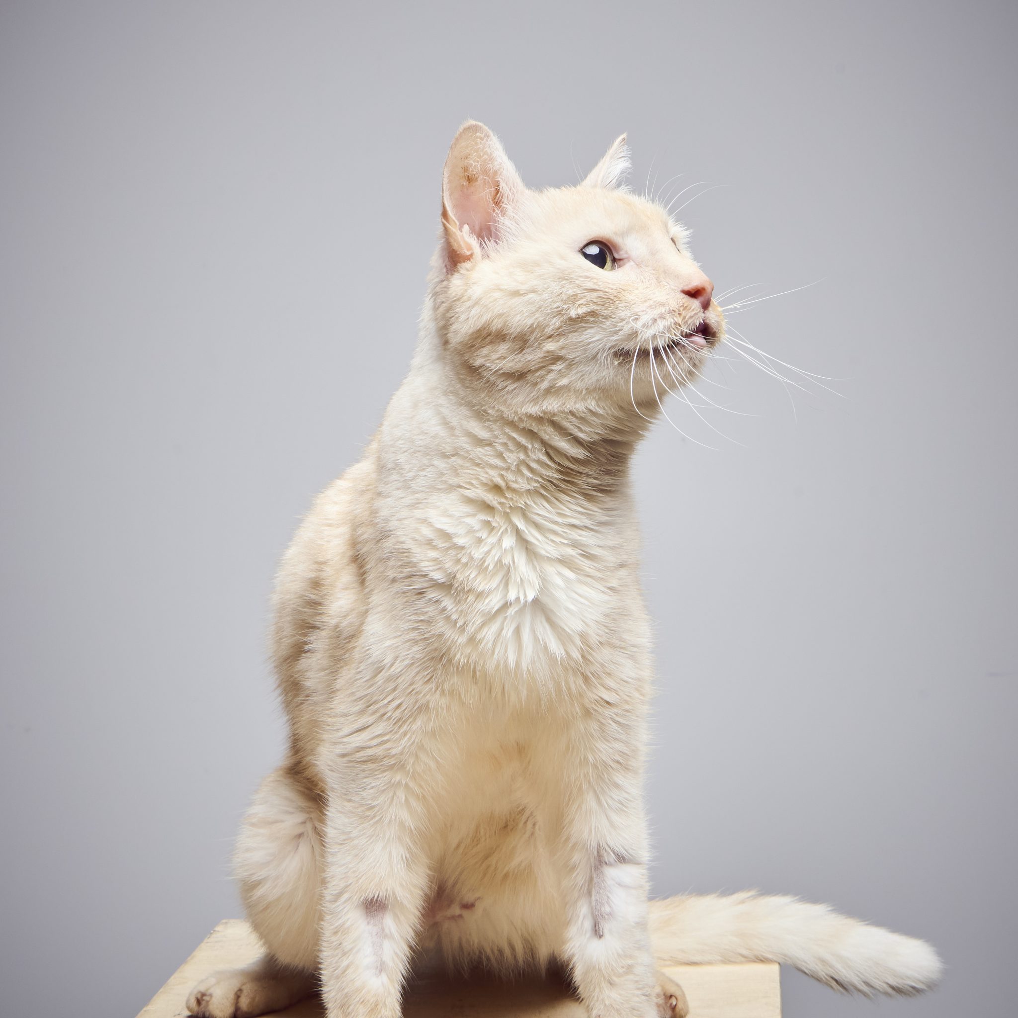 250912_Clinique_0877 2